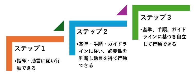 キャリアラダー_page-0001.jpg