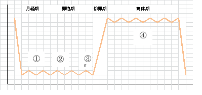 一般不妊検査の図編集後.png